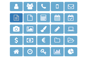 A Set of Icons for the Web